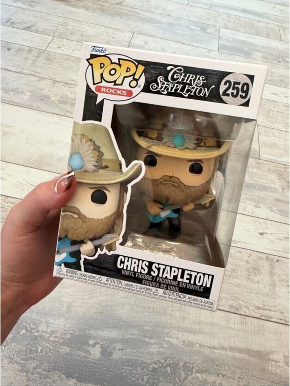Funko Pop Rocks Chris Stapleton #259 Vinyl Figure New